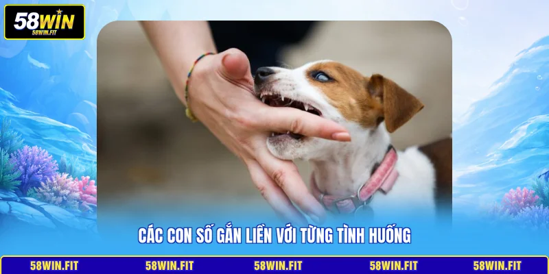 Các con số gắn liền với từng tình huống