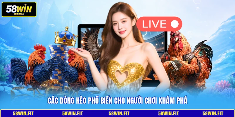 Các dòng kèo phổ biến cho người chơi khám phá