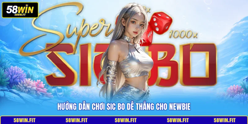 Hướng dẫn chơi Sic Bo dễ thắng cho newbie