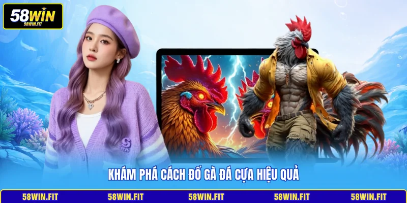 Khám phá cách đổ gà đá cựa hiệu quả