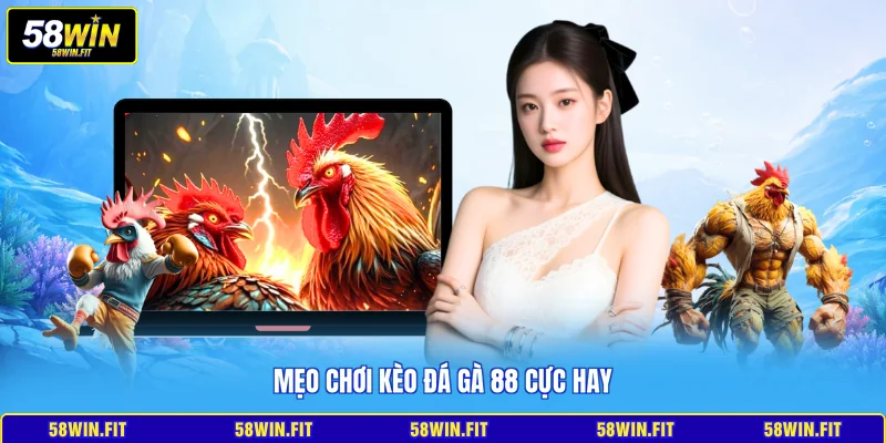 Mẹo chơi kèo đá gà 88 cực hay
