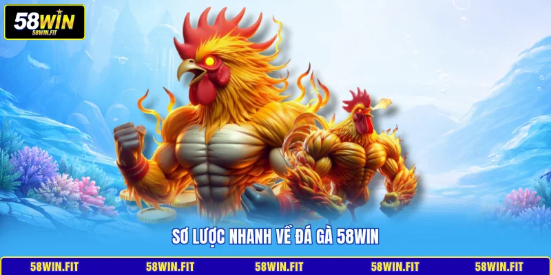 Sơ lược nhanh về đá gà 58win