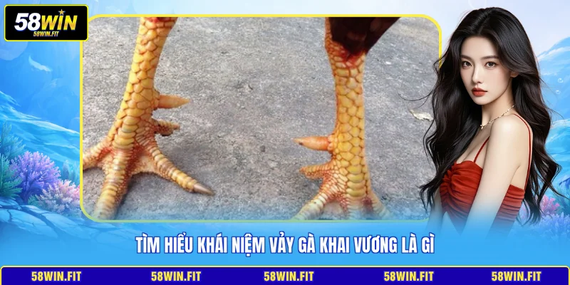 Tìm hiểu khái niệm vảy gà khai vương là gì