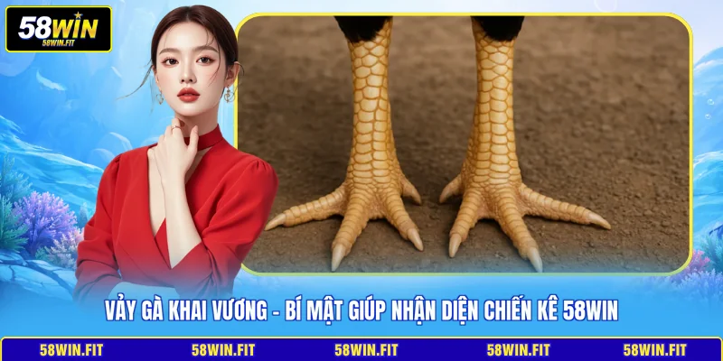 vảy gà khai vương